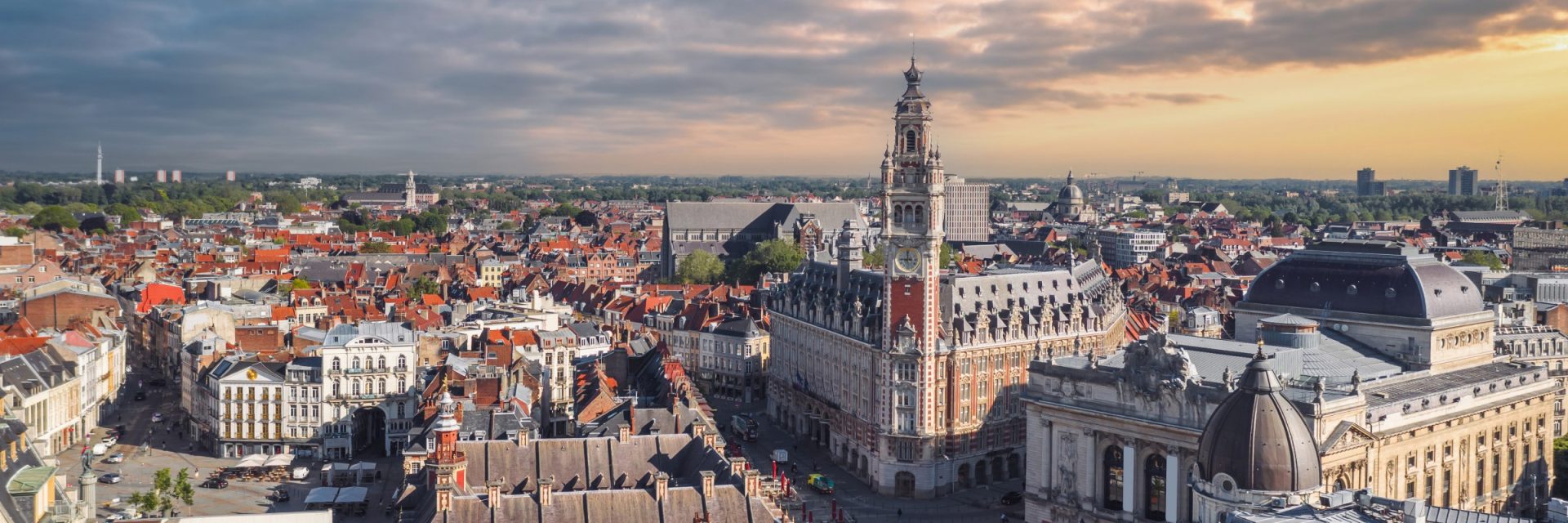 Vue aérienne sur la ville de Lille