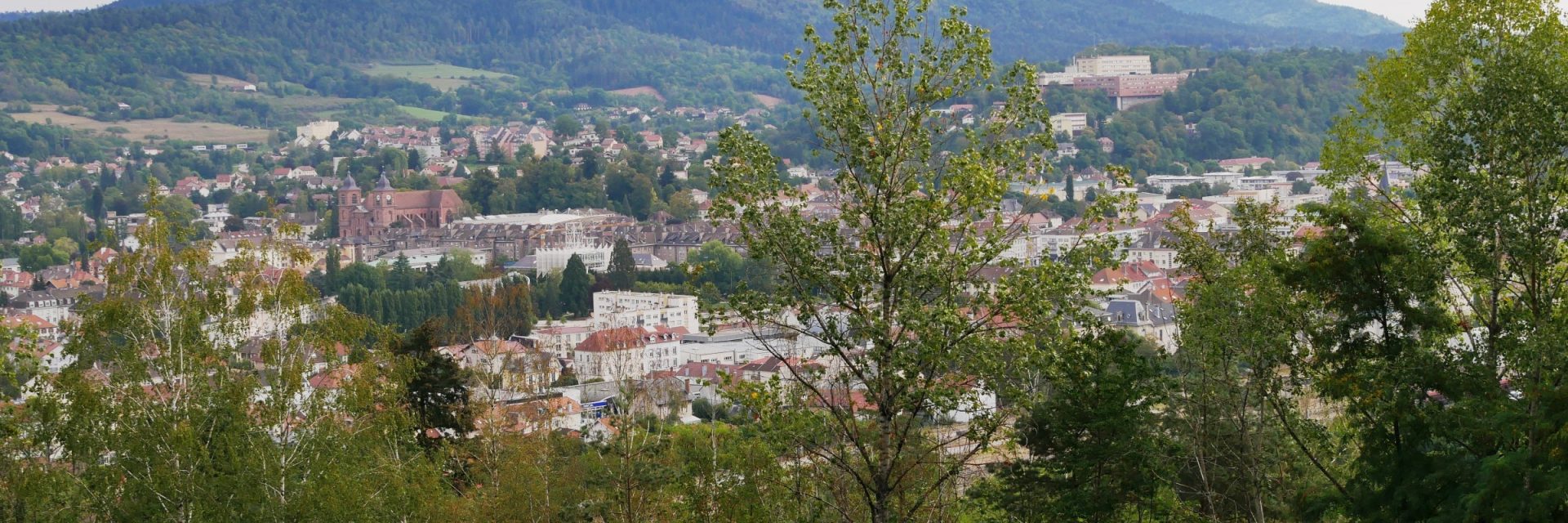 Vue sur la ville de Saint-Dié